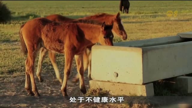 欧洲议会通过《自然恢复法》