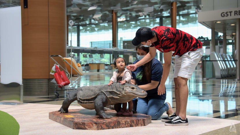 Taking your kids abroad through vaccinated travel lanes: What you need to know