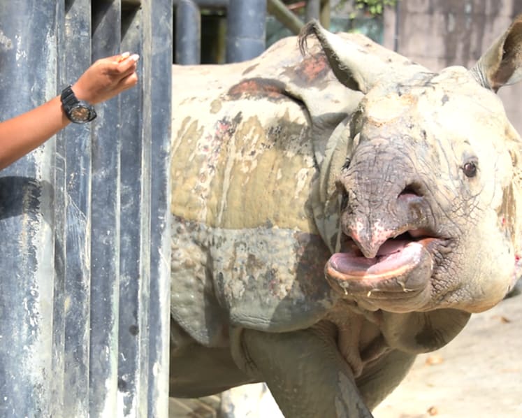Feeding a zoo: Wildlife nutritionist has to cook up a tasty menu for more than 10,000 animals