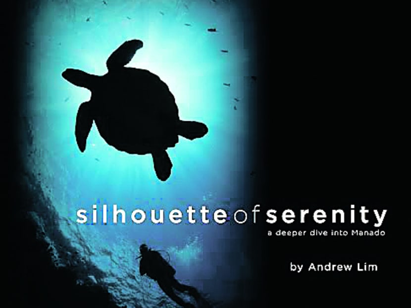 Injured knee doesn’t crush young photographer’s dream