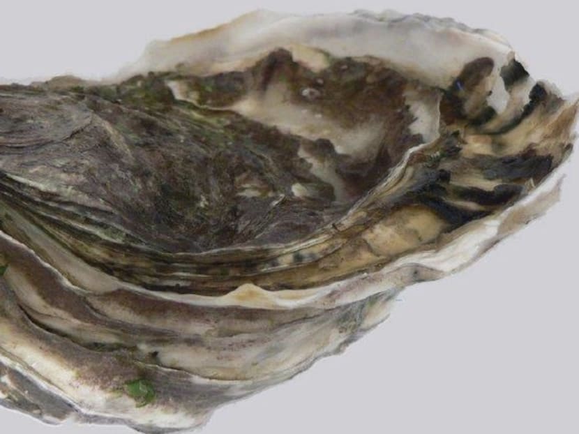 The Singapore Food Agency has directed three importers to recall raw Pacific oysters (pictured) harvested from Coffin Bay in Australia. The Singapore Food Agency has directed three importers to recall raw Pacific oysters (pictured) harvested from Coffin Bay in Australia.