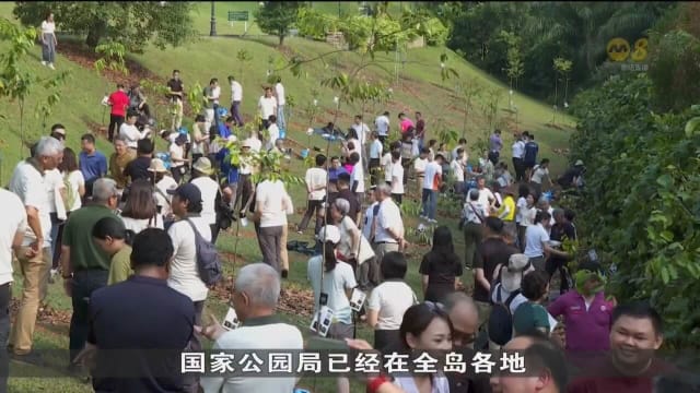百万树木运动已栽种逾50万棵树 料提早于2027年达成目标