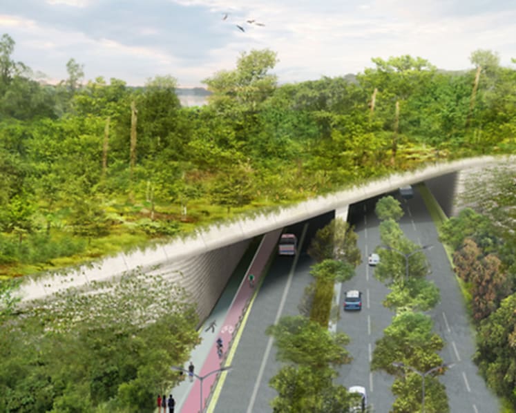 Eco-bridge at Mandai to be ready by 2019