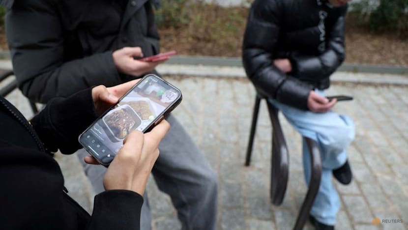 EU age verification app ready as Europe moves to curb children's social media access