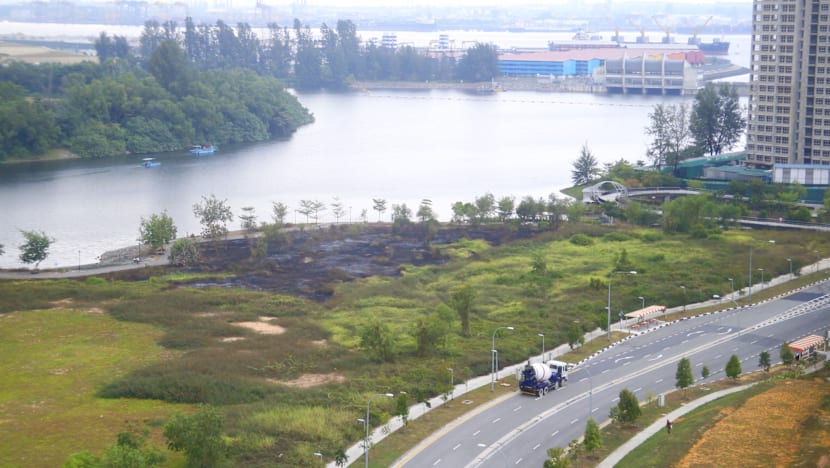 Fire breaks out at Punggol field