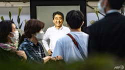 Related article image