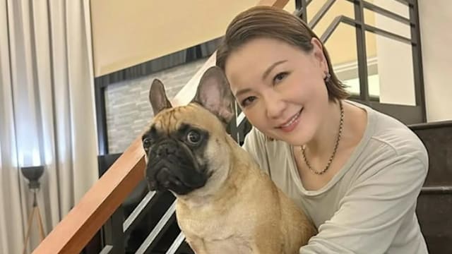 再度身患绝症？老公杜汶泽四肢瘫痪还外出偷吃？田蕊妮火大反驳谣言！