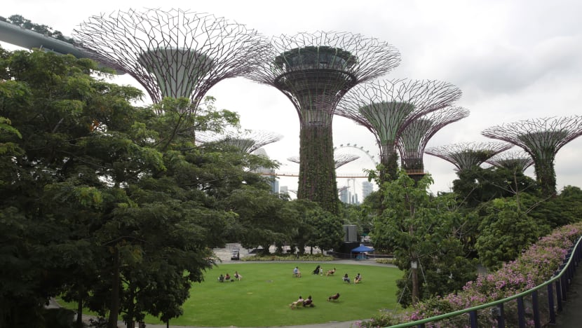 From setting emissions target to changing behaviour through procurement, public sector to lead S’pore’s green push