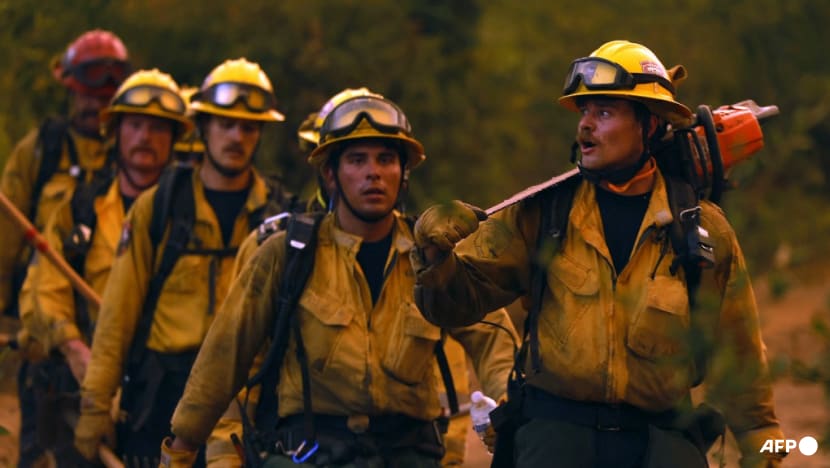 Firefighters arrested by US immigration officials Firefighters arrested by US immigration officials