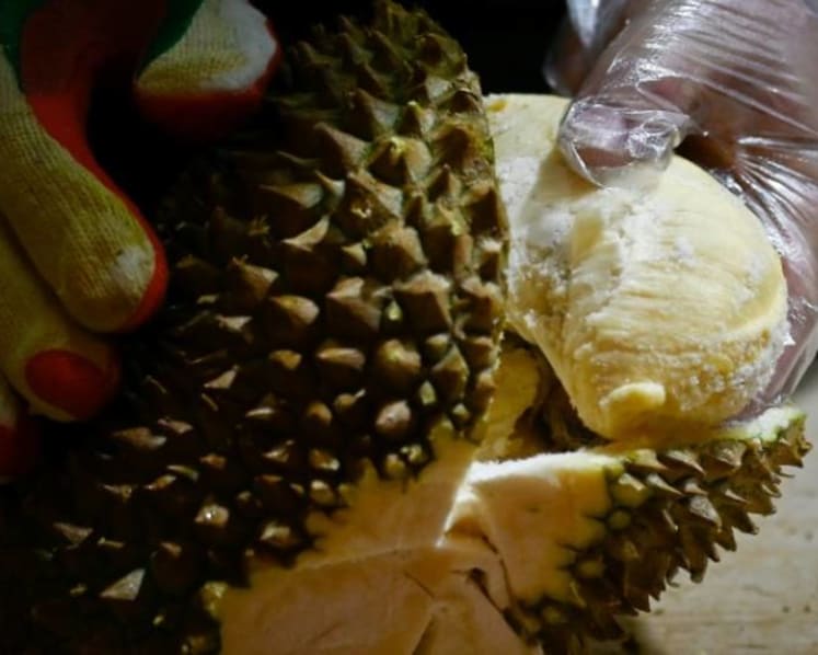 Commentary: Durians, blockchain and politics - inside the choppy world of Chinese investors in Malaysia