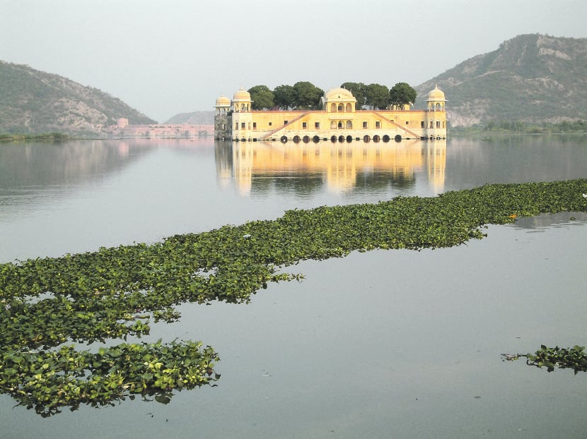 Embrace Jaipur’s royally pink glow