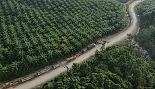 Indonesia to bring commodity exports under centralised control, president says