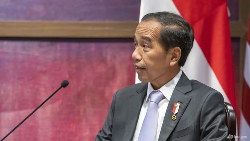 Indonesia President Joko Widodo in ‘tough spot’ to unite G20 leaders: Analysts Indonesia President Joko Widodo in ‘tough spot’ to unite G20 leaders: Analysts