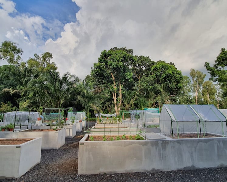 360 new allotment gardening plots to be launched at 8 parks islandwide