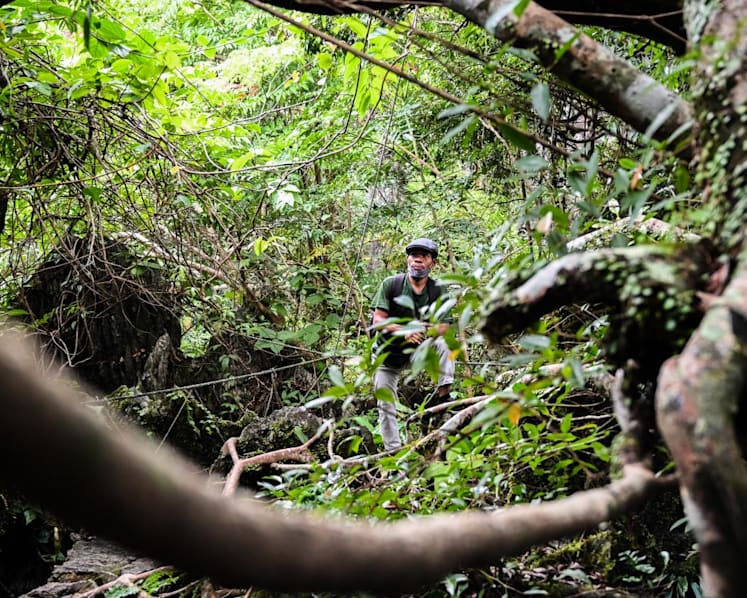 Rush for rare earth minerals in Southeast Asia compounding dangers for region's environmental defenders: Report 