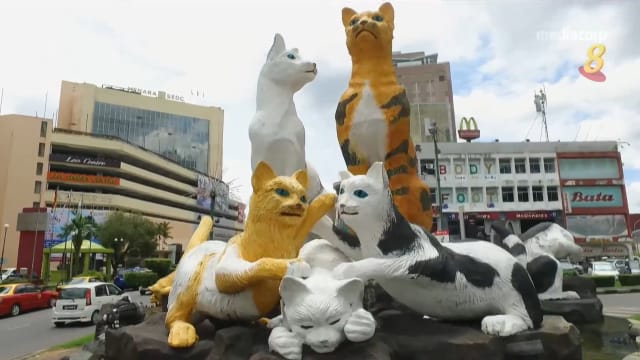 星期二特写 | 情牵新马：情系猫城