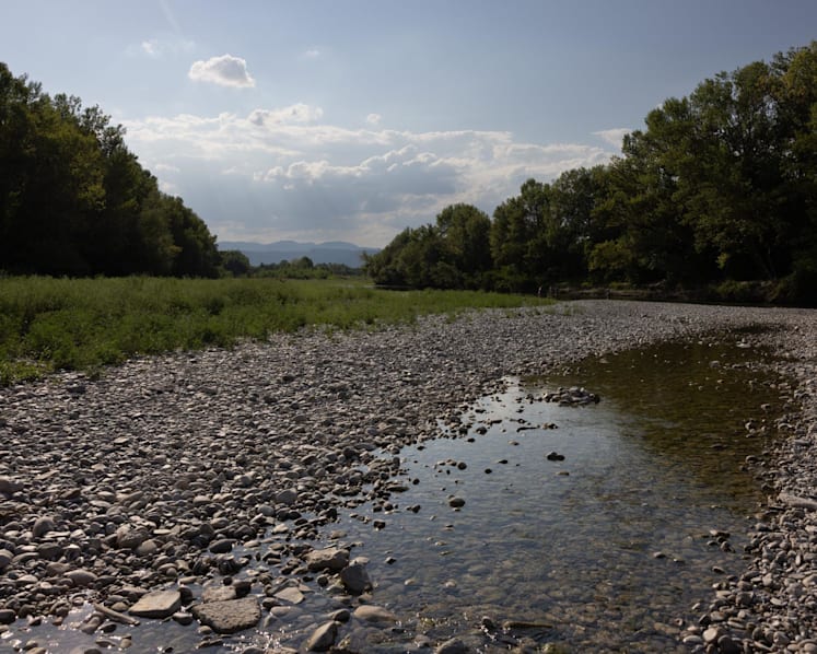 Drought forces water restrictions across nearly 70% of France Drought forces water restrictions across nearly 70% of France