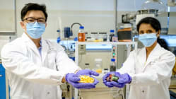Related article image
