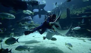 Oceans of Change - Why the new Singapore Oceanarium matters