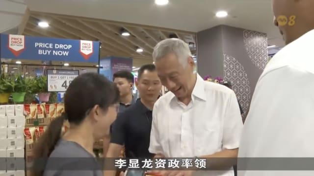 李资政率团队走访宏茂桥集选区