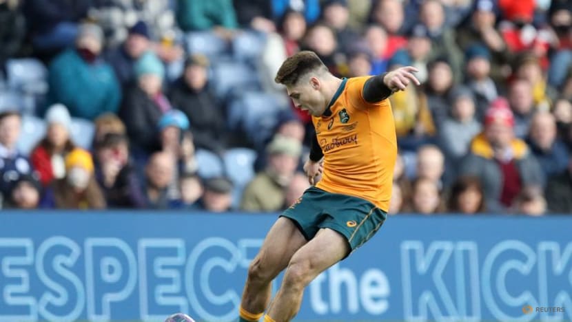 Australia coach Schmidt says O'Connor in flyhalf mix for Lions series