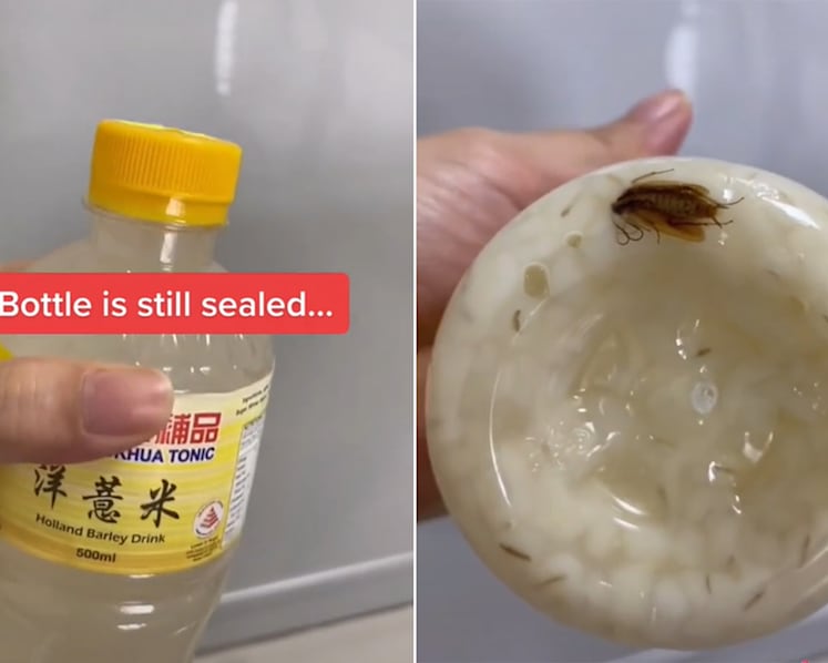 Hockhua Tonic apologises after cockroach found in herbal drink bought from Sengkang outlet
