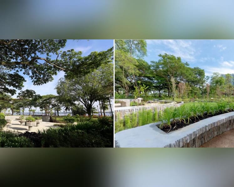 New therapeutic gardens open at Bedok Reservoir Park and Pasir Ris Park