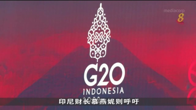 耶伦呼吁成员国应对短期粮食危机 避免实施扭曲市场推高价格政策