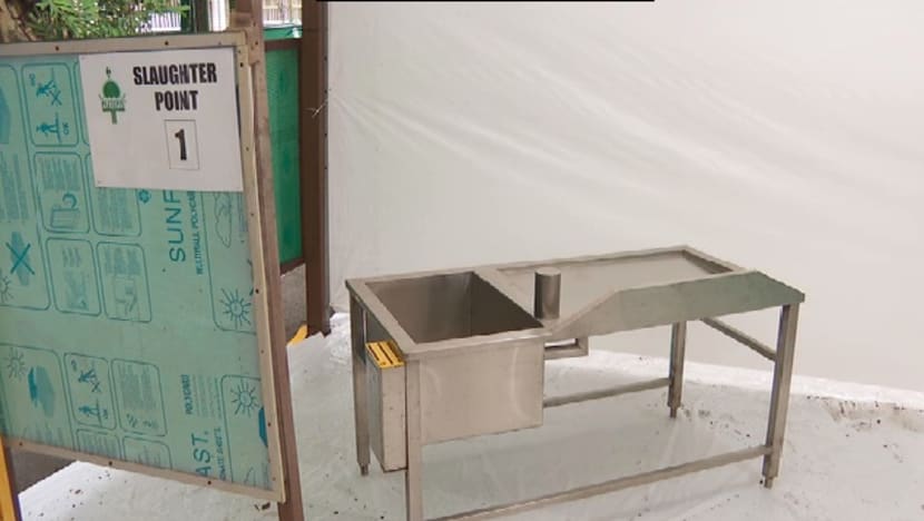 Related article image