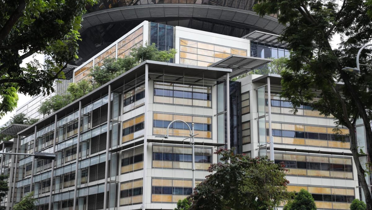 Woman who sued doctor for negligence over her childbirth loses suit