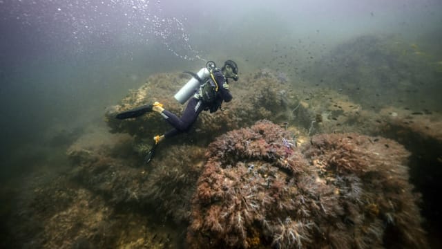 泰国拟推三层游客保险 高风险活动租车或须加保
