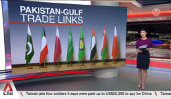  Pakistan pursuing closer trade relations with Gulf member states