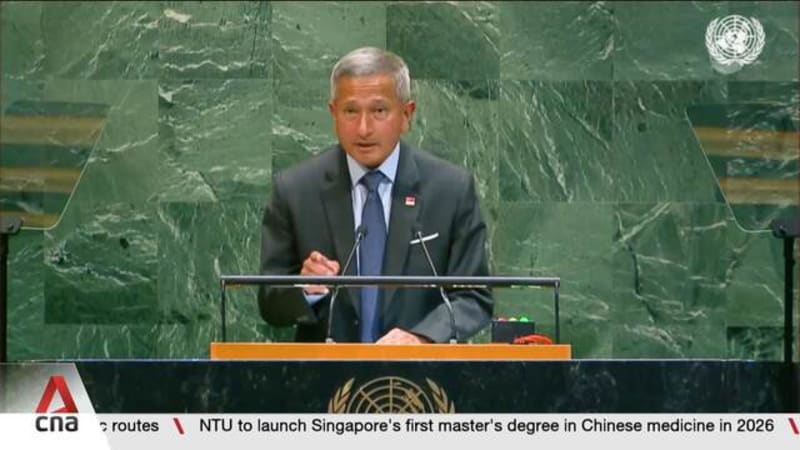 Singapore urges limit to vetoes by permanent members, more inclusive UN
