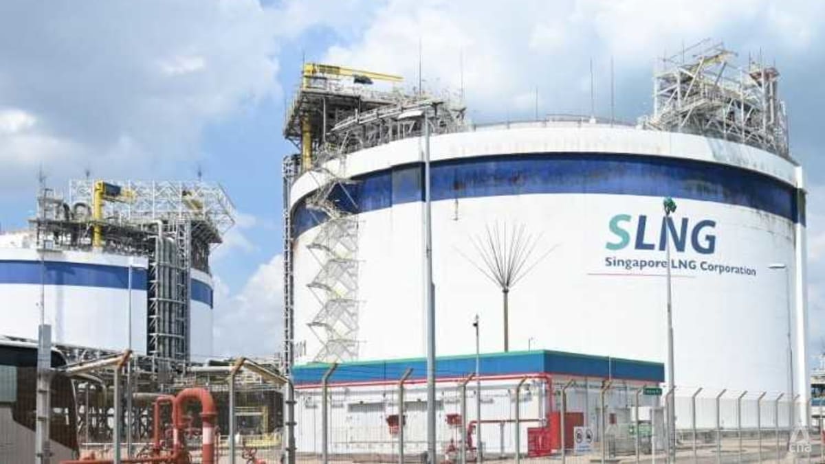 Singapore has not yet dipped into its energy stockpile and is prepared for multiple scenarios: Tan See Leng