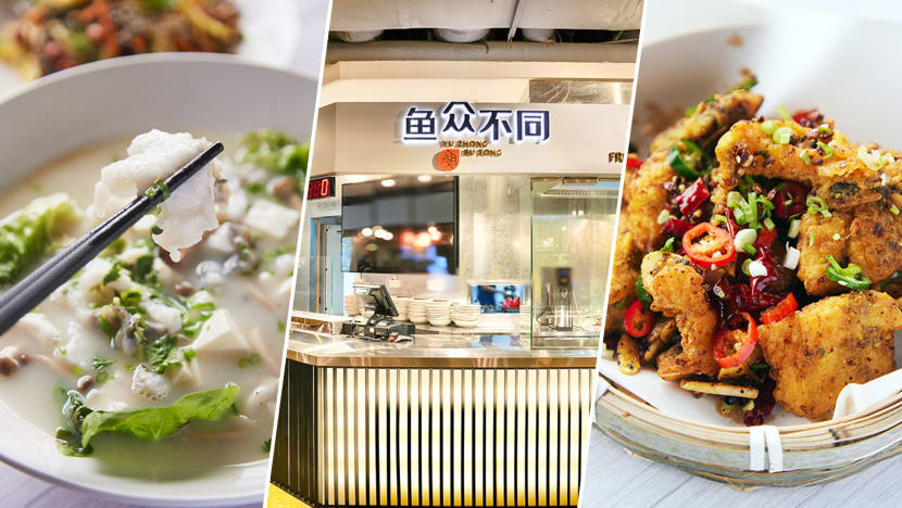 S’pore Fish Farm Opens Orchard Rd Food Court Stall With $9.80 Collagen Fish Soup