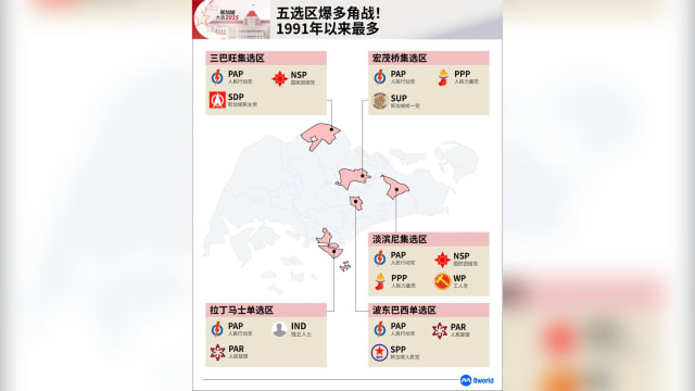 【GE2025】1991年大选以来最多！五个选区出现多角战