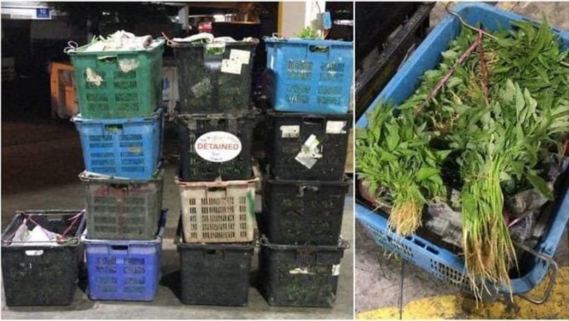 Pengimport didenda kerana import secara haram 250kg sayuran segar