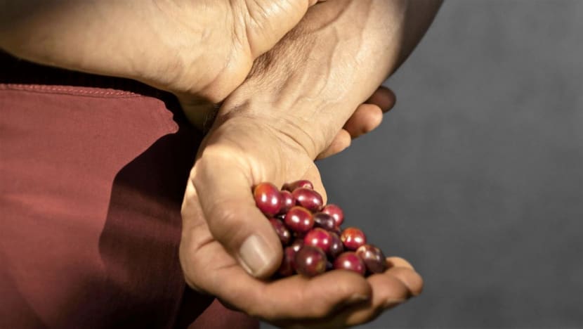 Respecting – and sustaining – local farming traditions Respecting – and sustaining – local farming traditions