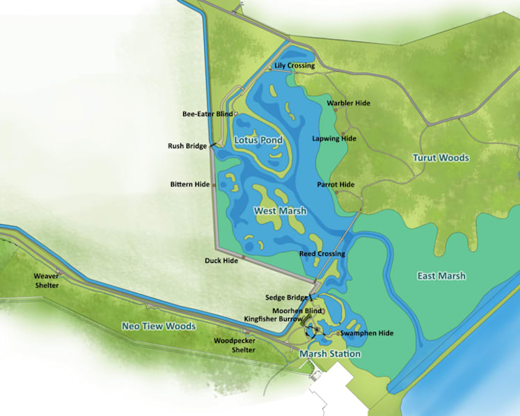 Rich biodiversity on offer as Kranji Marshes open