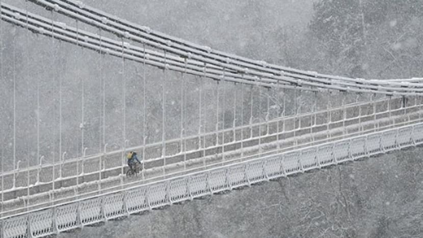 Gambar Pilihan Hari Ini