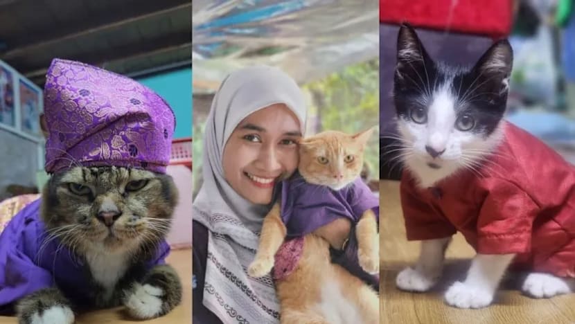Gambar Pilihan Hari Ini