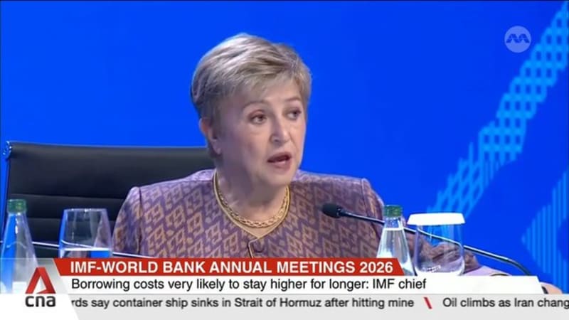 Higher borrowing costs adding to fiscal pressures at time of high debt: IMF
