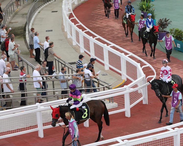 Exported, retrained or retired? 700 racehorses face uncertain fate after Singapore Turf Club closure