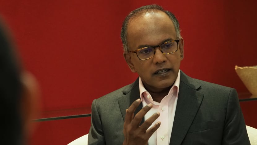Harsher penalties proposed for sexual and hurt crimes such as outrage of modesty, showing sexual image to a minor: Shanmugam