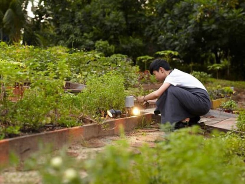How Singapore’s restaurateurs are rising to the challenges of sustainability How Singapore’s restaurateurs are rising to the challenges of sustainability