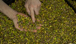 Commentary: Methanol, pistachios and cement - other Iranian exports choked by the war