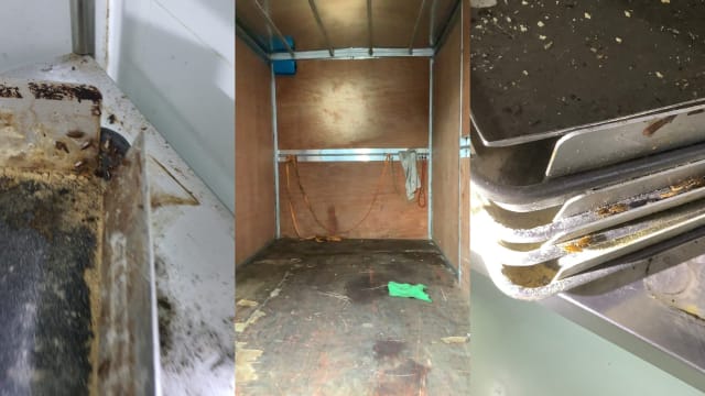 爱麦包厂房因不卫生 被判7000元罚款