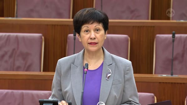 Indranee Rajah on Anti-Money Laundering and Other Matters (Estate Agents and Developers) Bill