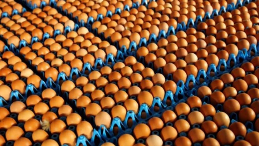 Push for liquid eggs scrambled by low consumer demand in Singapore