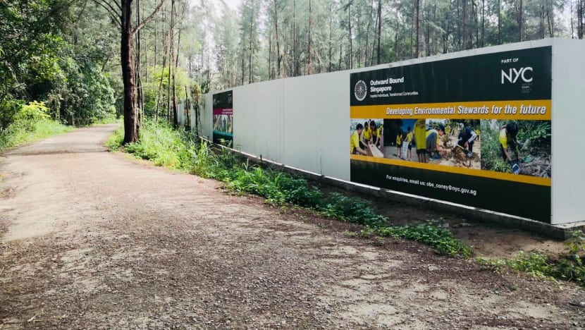 OBS to 'carefully plan' construction of new Coney Island campus to minimise environmental impact